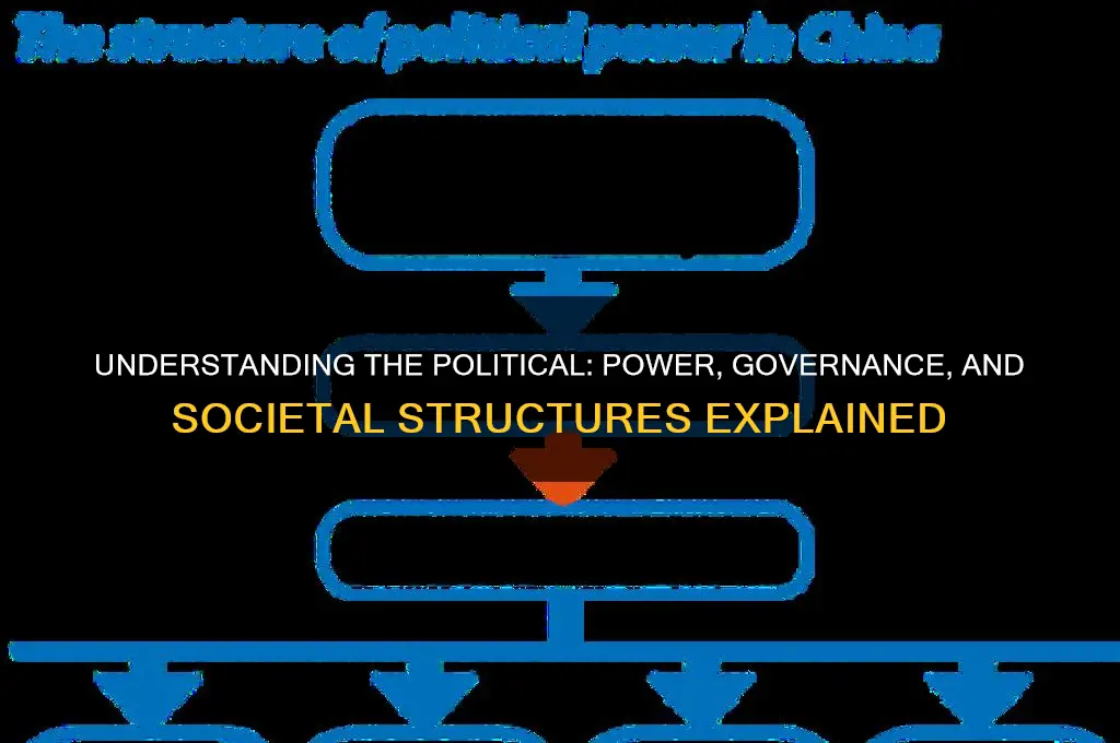 what is the political