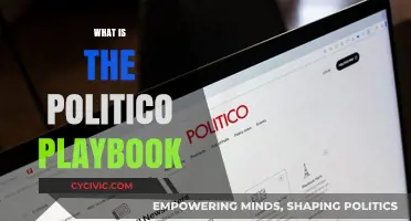 Understanding the Politico Playbook: Strategies, Influence, and Political Power