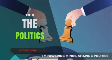 Understanding the Complex World of Politics: Power, Governance, and Society