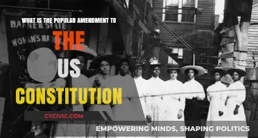 Most Popular US Constitution Amendments: What's the Buzz?