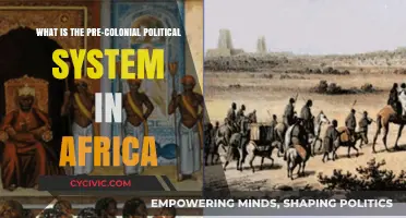 Exploring Africa's Rich Pre-Colonial Political Landscape