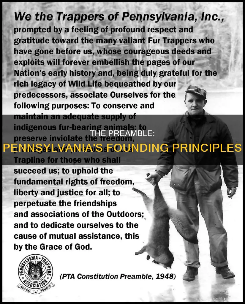 what is the preamble for the pa constitution