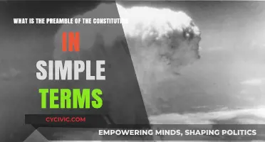 Understanding the Constitution's Preamble: A Beginner's Guide