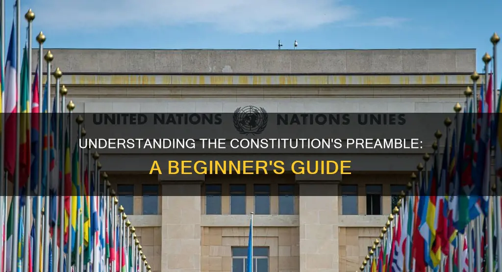 what is the preamble of the constitution in simple terms