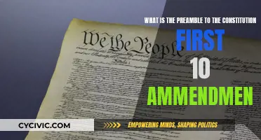 Understanding the Constitution's Preamble and First Amendments