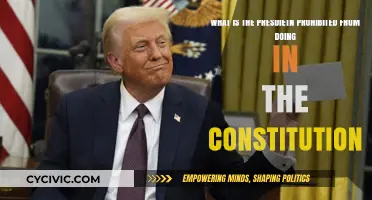 Presidential Limits: What's Off-Limits for POTUS?