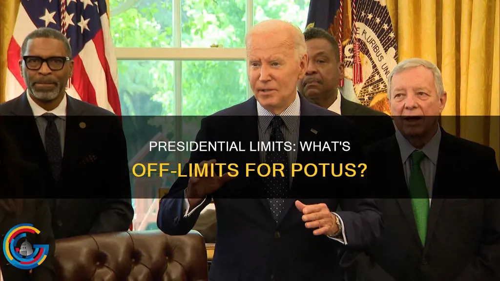 what is the presdietn prohibited from doing in the constitution