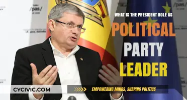 The President's Dual Role: Leading the Nation and Political Party