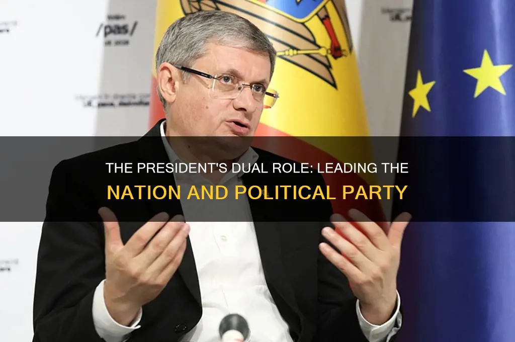 what is the president role as political party leader