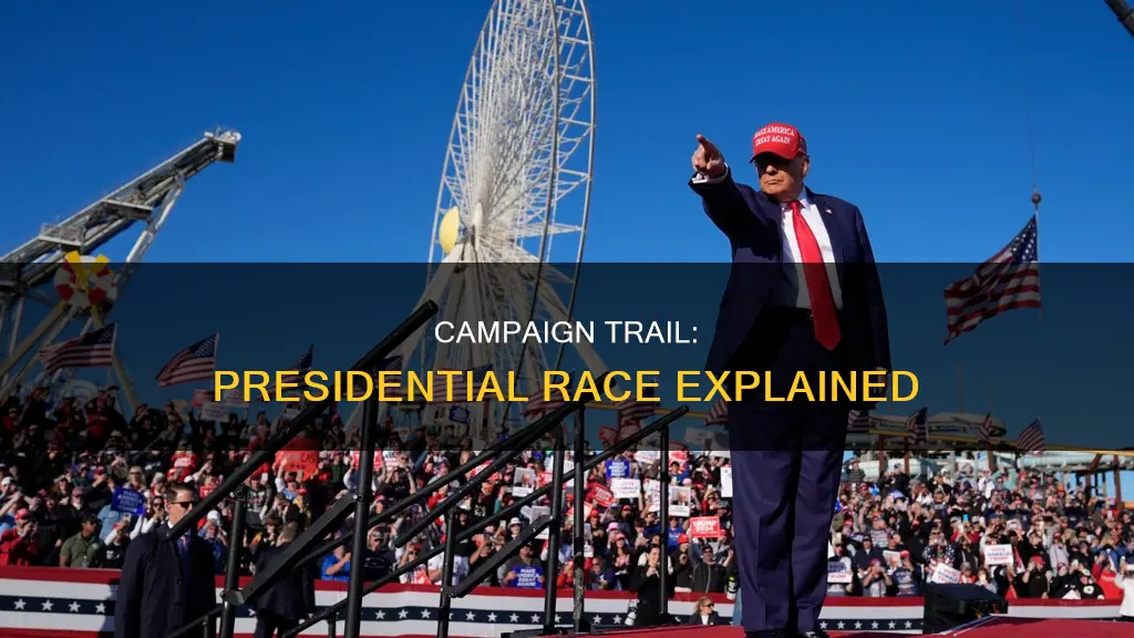 what is the presidential campaign