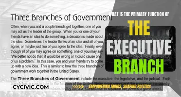 Understanding the Executive Branch: Its Core Function and Purpose
