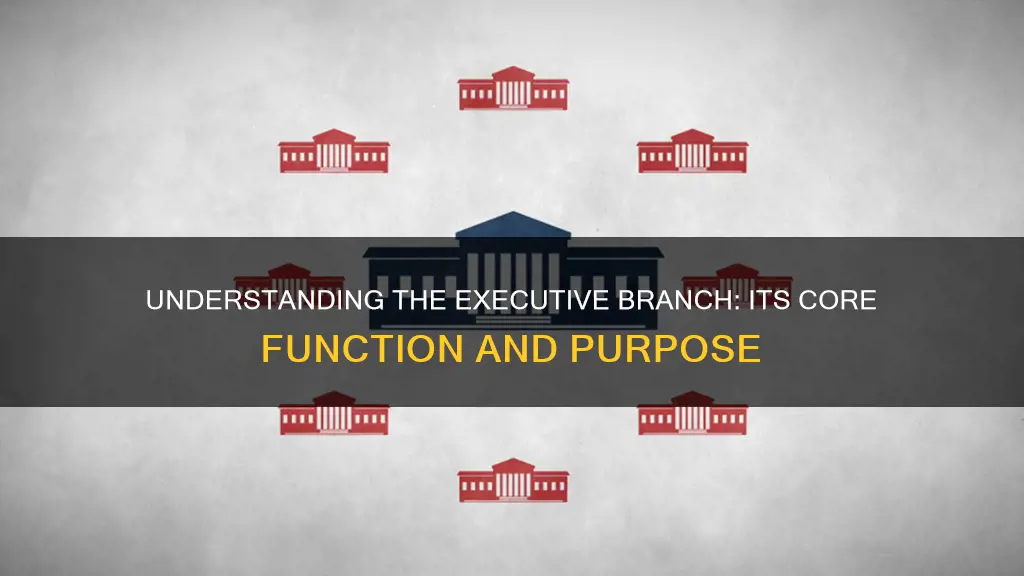 what is the primary function of the executive branch