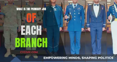 Exploring Core Responsibilities: Understanding Branch-Specific Duties