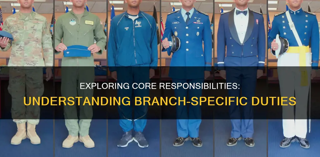 what is the primary job of each branch