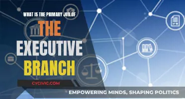 The Executive Branch: Steering the Country's Direction