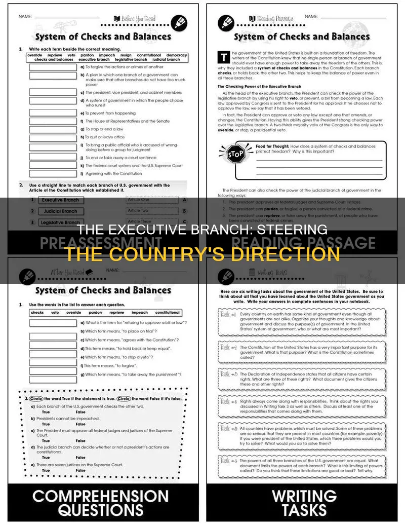 what is the primary job of the executive branch
