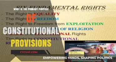 Understanding the Core Purpose of Constitutional Provisions