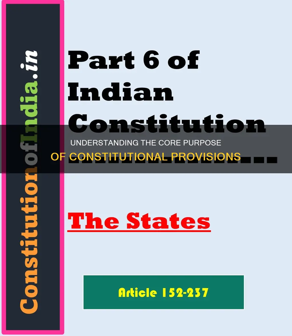 what is the primary purpose of constitutional provisions