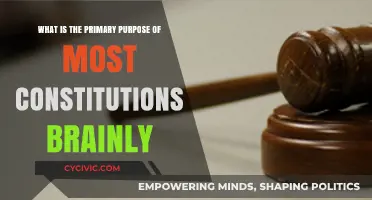 Constitutions: The Foundation of Nations and Their Governments