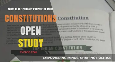 Understanding the Core Aim of Constitutions
