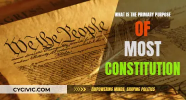 The Core Aim of Constitutions