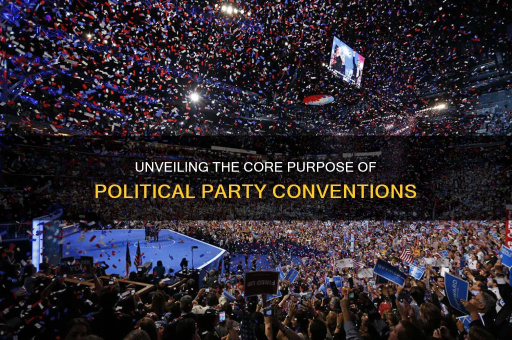 what is the primary purpose of the political party convention