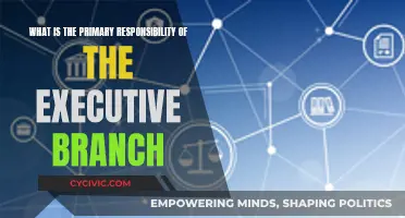 Executive Branch: Primary Responsibilities and Their Importance