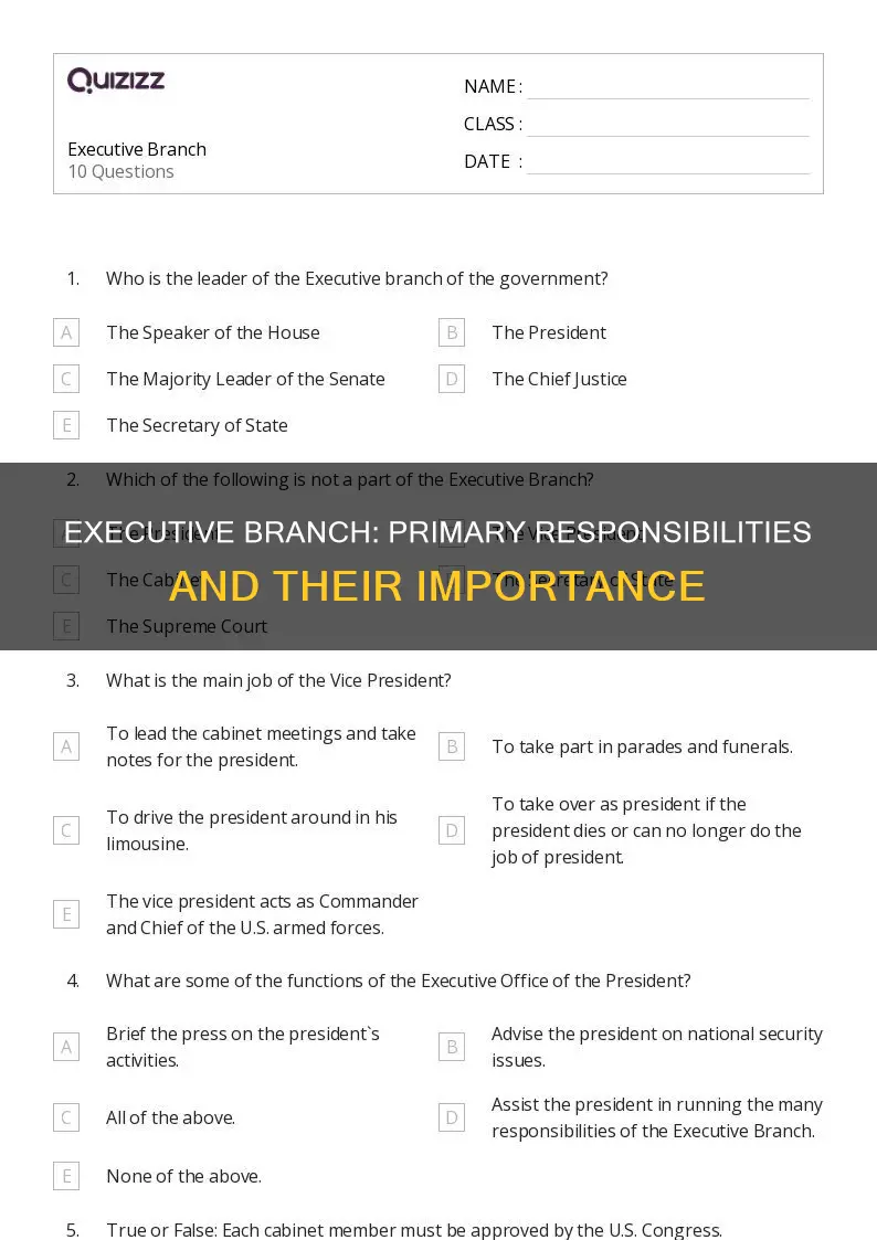 what is the primary responsibility of the executive branch