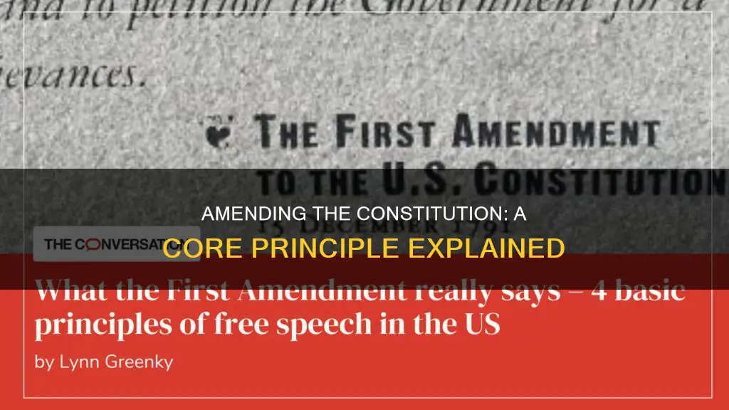what is the principle of amending the constitution