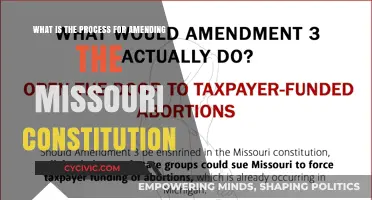 Amending Missouri's Constitution: A Step-by-Step Guide