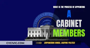 The President's Cabinet: Selecting Key Advisors