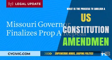 Abolishing Amendments: The Process of Unwriting History