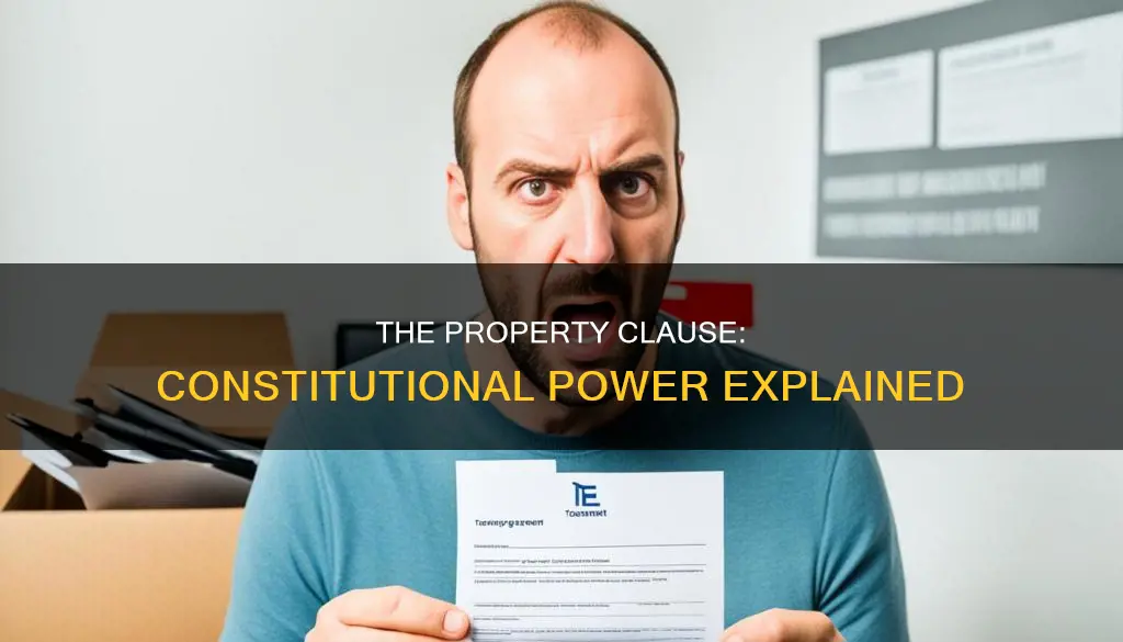what is the property clause in the constitution