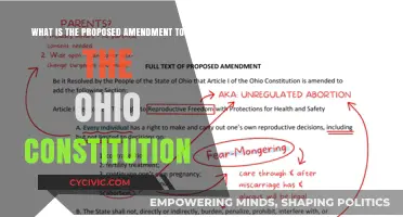 Ohio Constitution: Proposed Amendment Explained