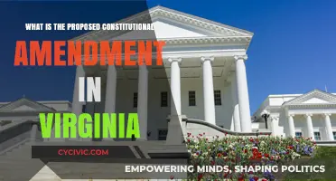 Virginia's Proposed Amendment: Understanding the Changes