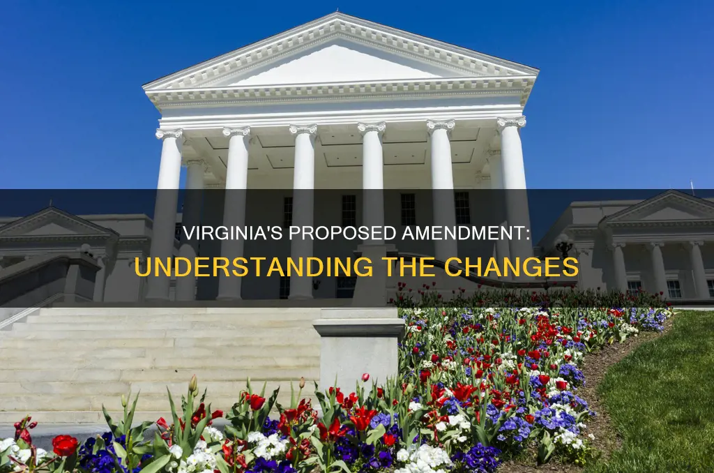 what is the proposed constitutional amendment in virginia
