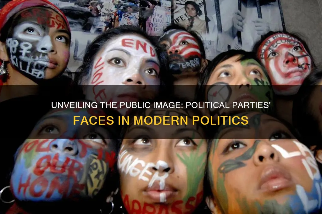 what is the public face of the political parties