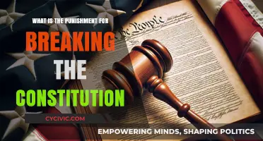 Understanding the Legal Repercussions of Violating the Constitution
