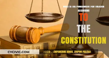 Understanding Treason and Its Punishment in the Constitution