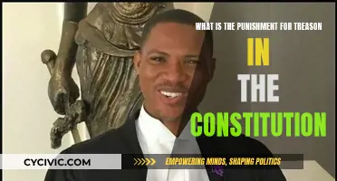 Understanding Treason and Its Constitutional Punishment