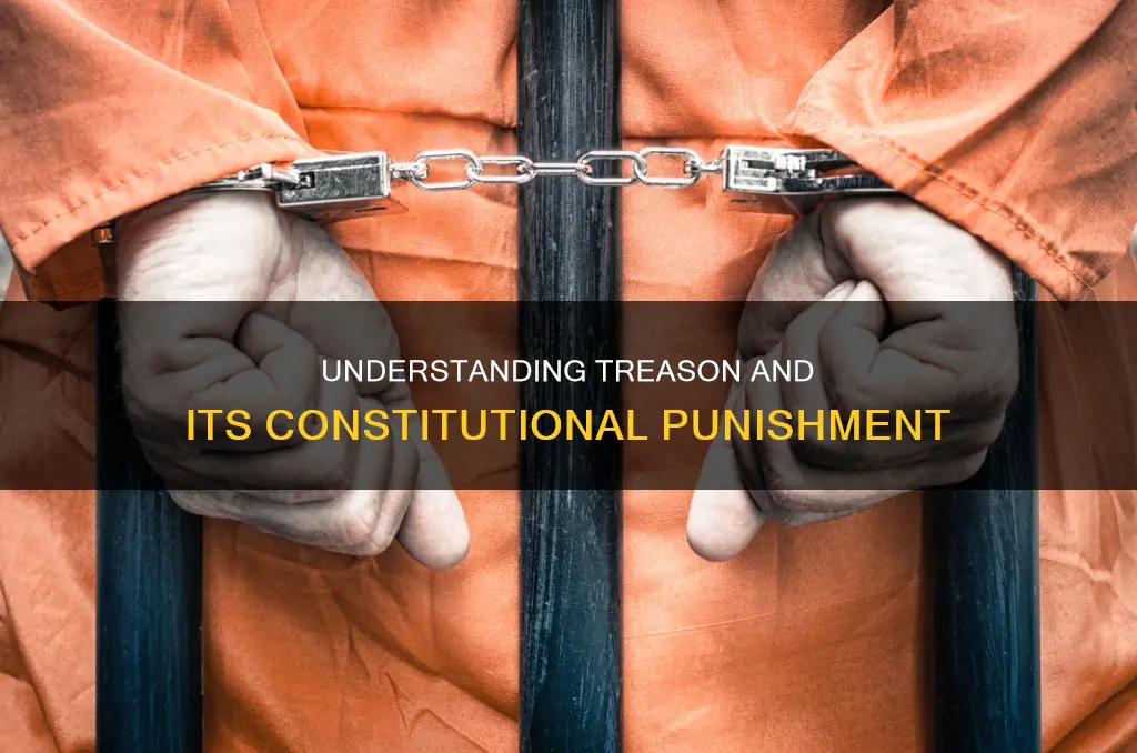 what is the punishment for treason in the constitution