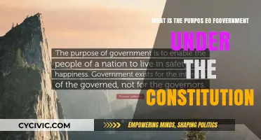 The Purpose of Government Under the Constitution