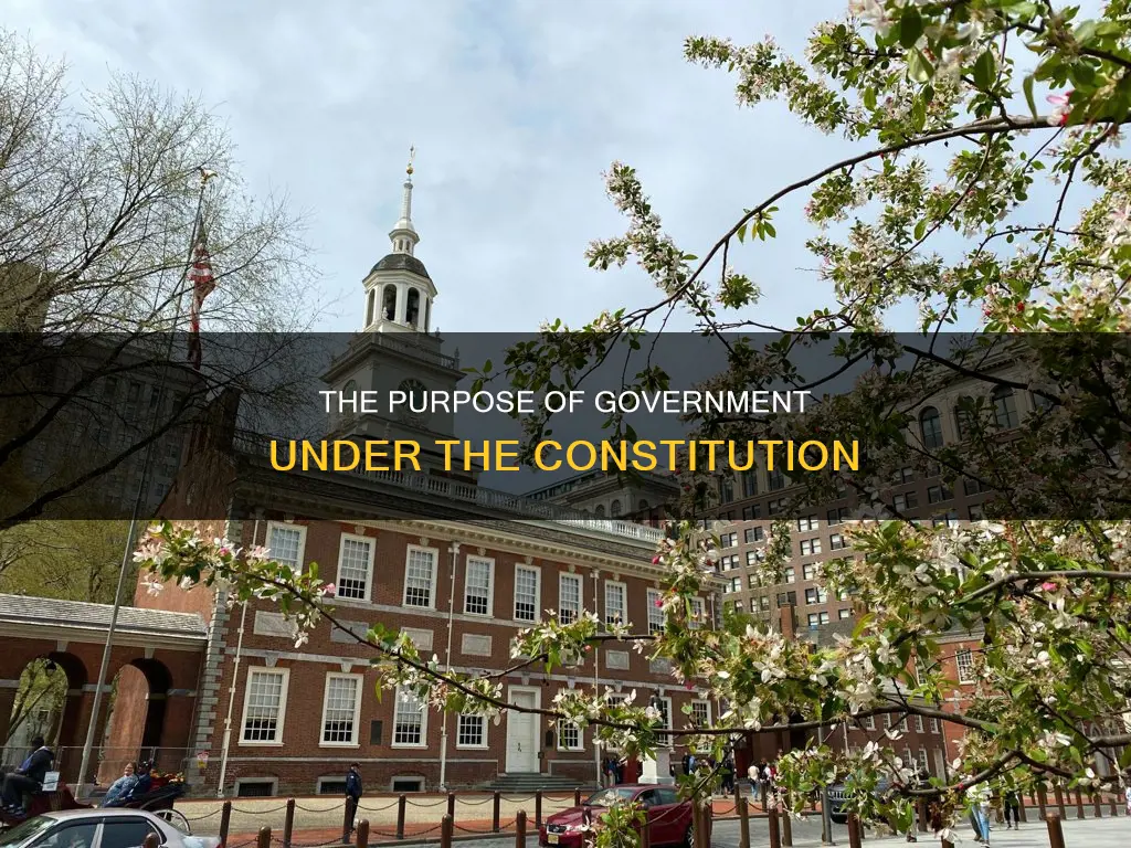 what is the purpos eo fgovernment under the constitution