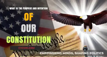 Our Constitution: Purpose and Intention Explained
