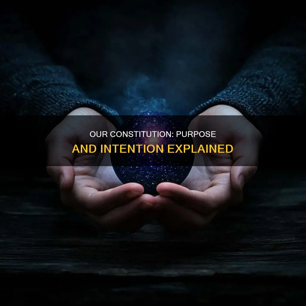what is the purpose and intention of our constitution