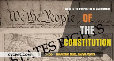 Exploring the Tenth Amendment's Purpose