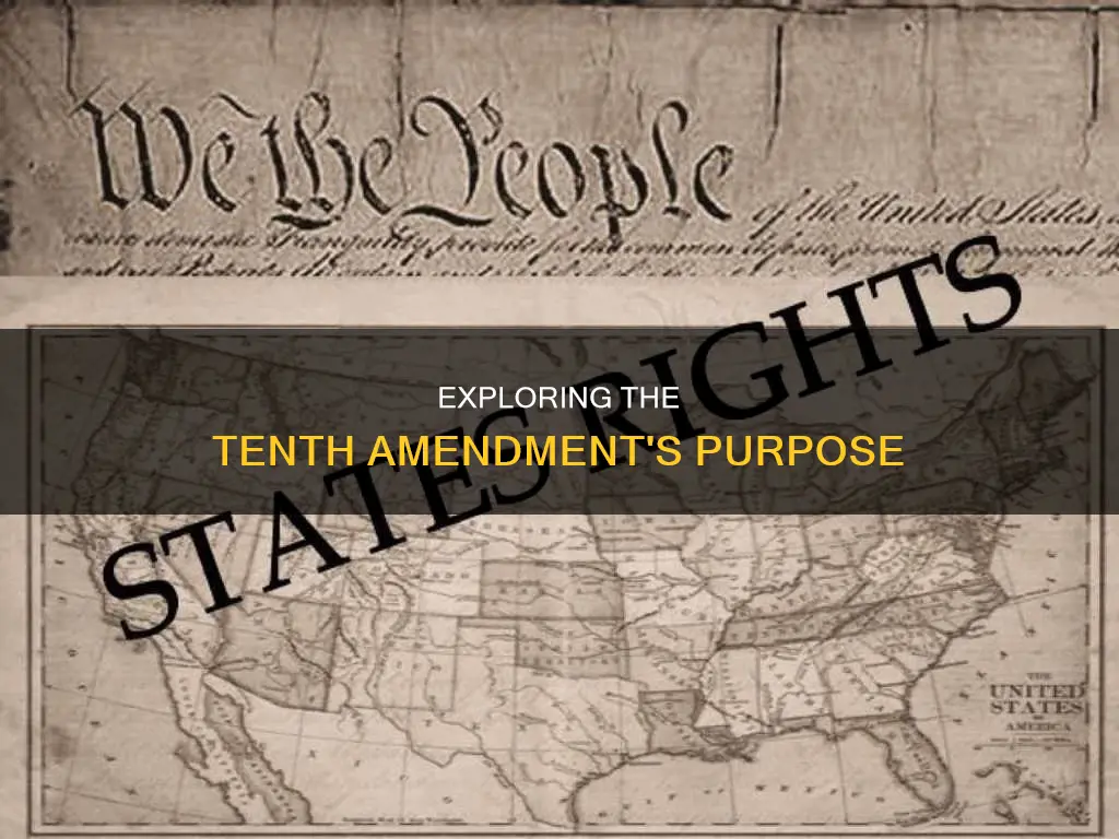 what is the purpose of 10 amendment of the constitution