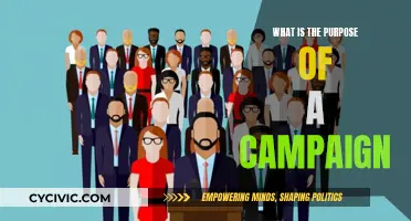 Campaigns: Their Purpose and How to Succeed