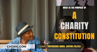 Understanding Charity Constitutions: Their Purpose and Function