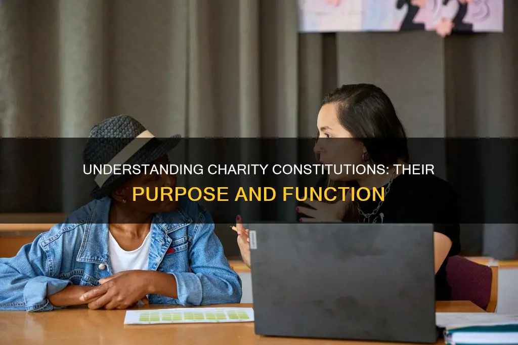 what is the purpose of a charity constitution